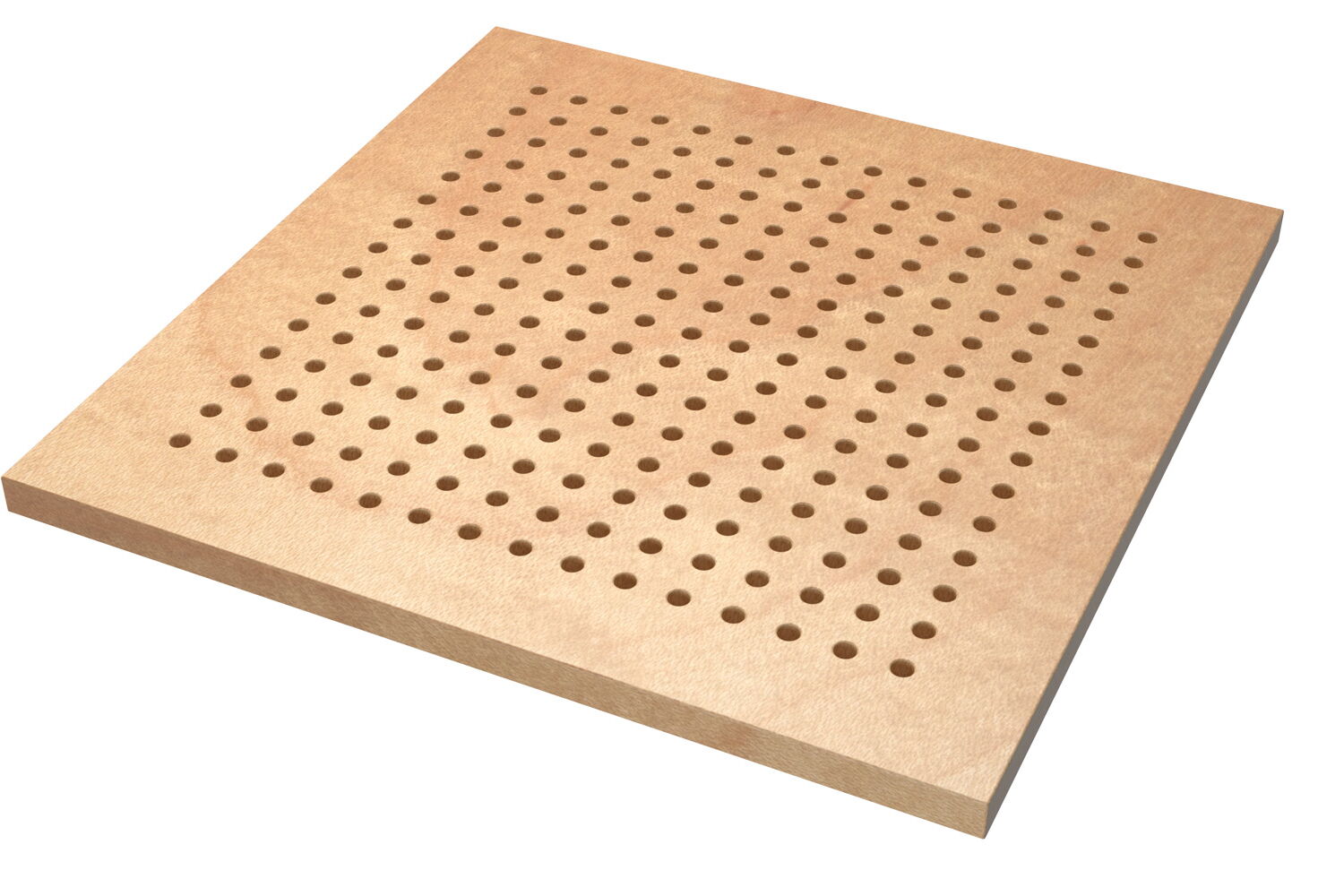 American Maple - Standard