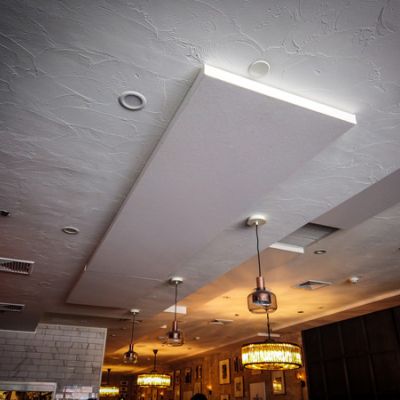 acoustic ceiling panel in restaurant