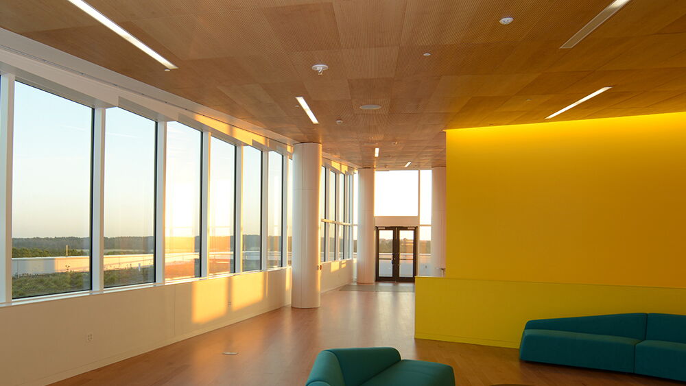 acoustic wood ceiling