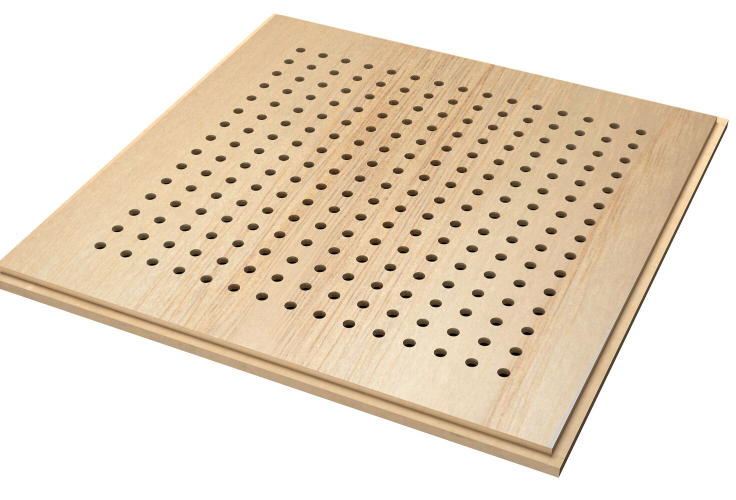 European Ash - Basic