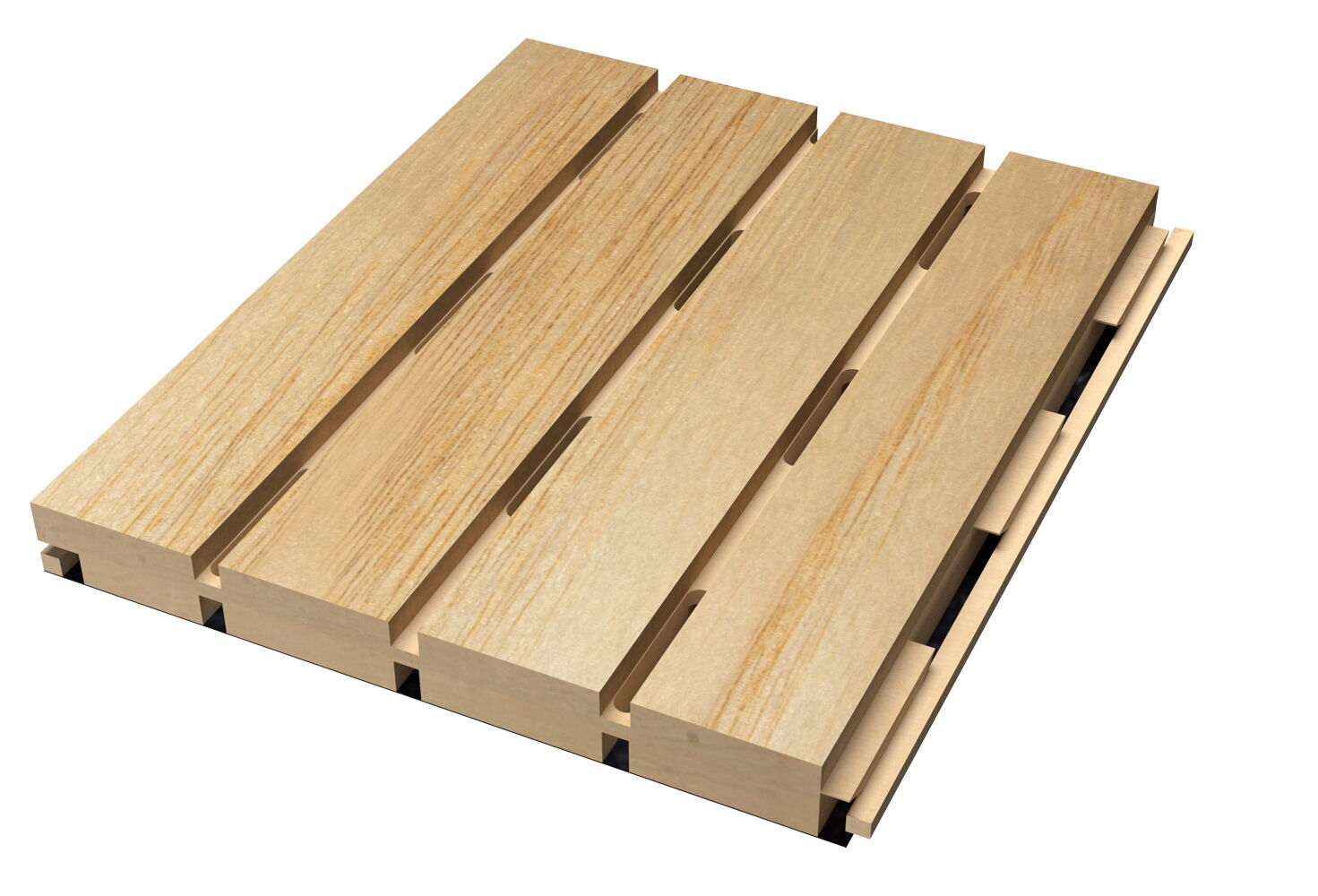 European Ash - Topline