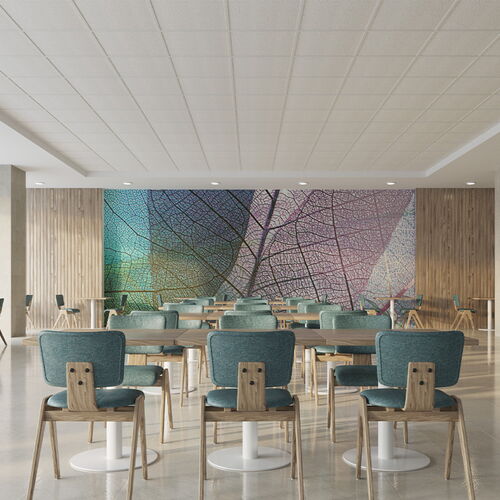 cafeteria ceiling tiles