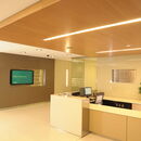woodtrends topline