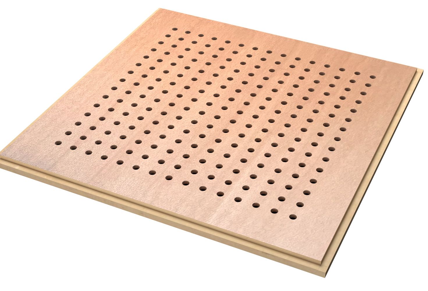 Steamed Beech - Basic