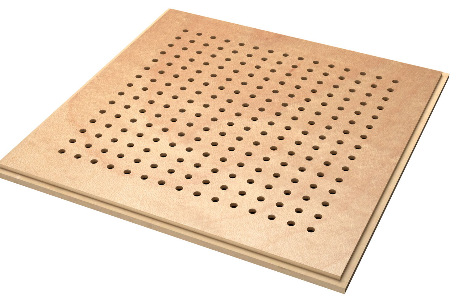 American Maple - Basic