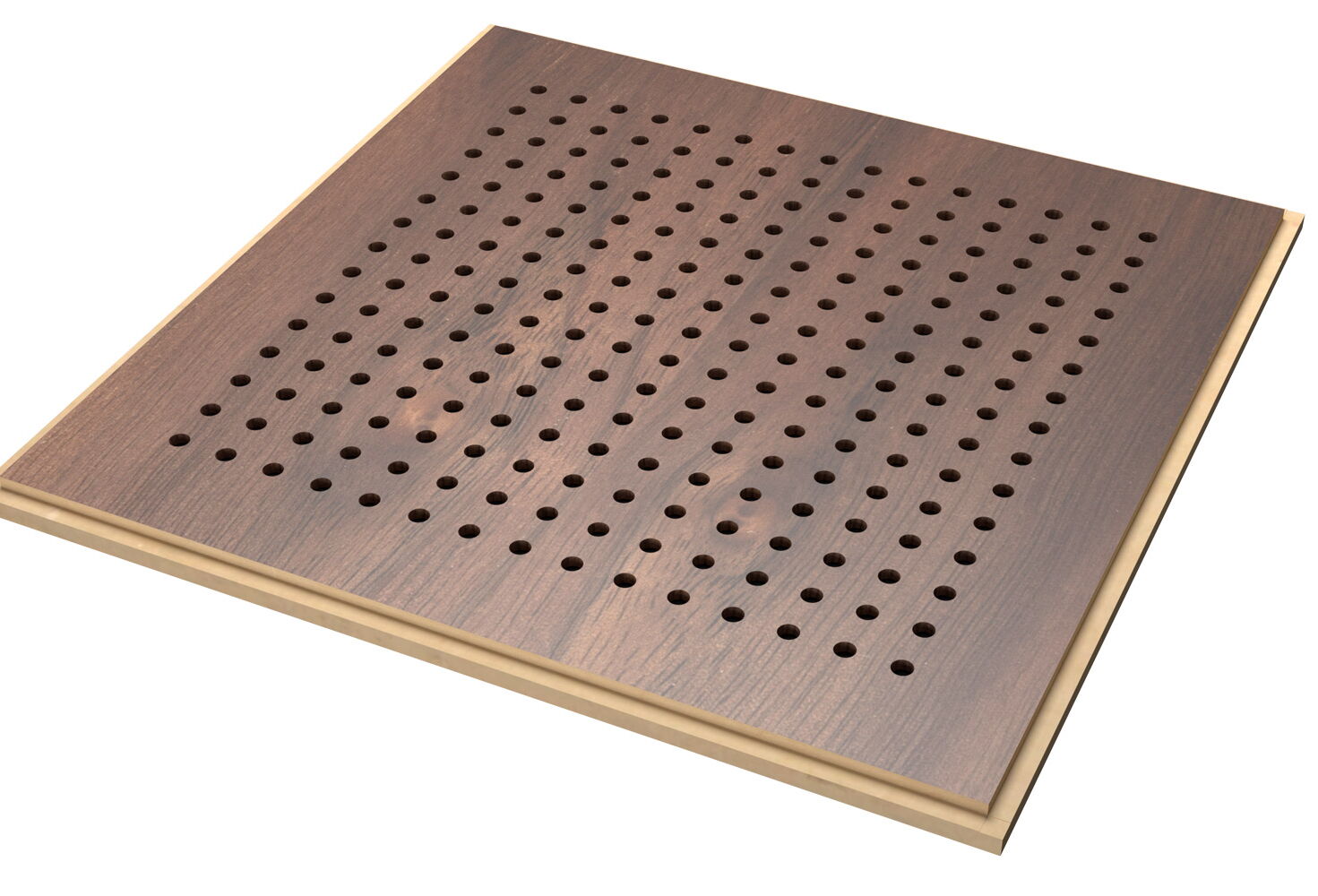 American Walnut - Basic