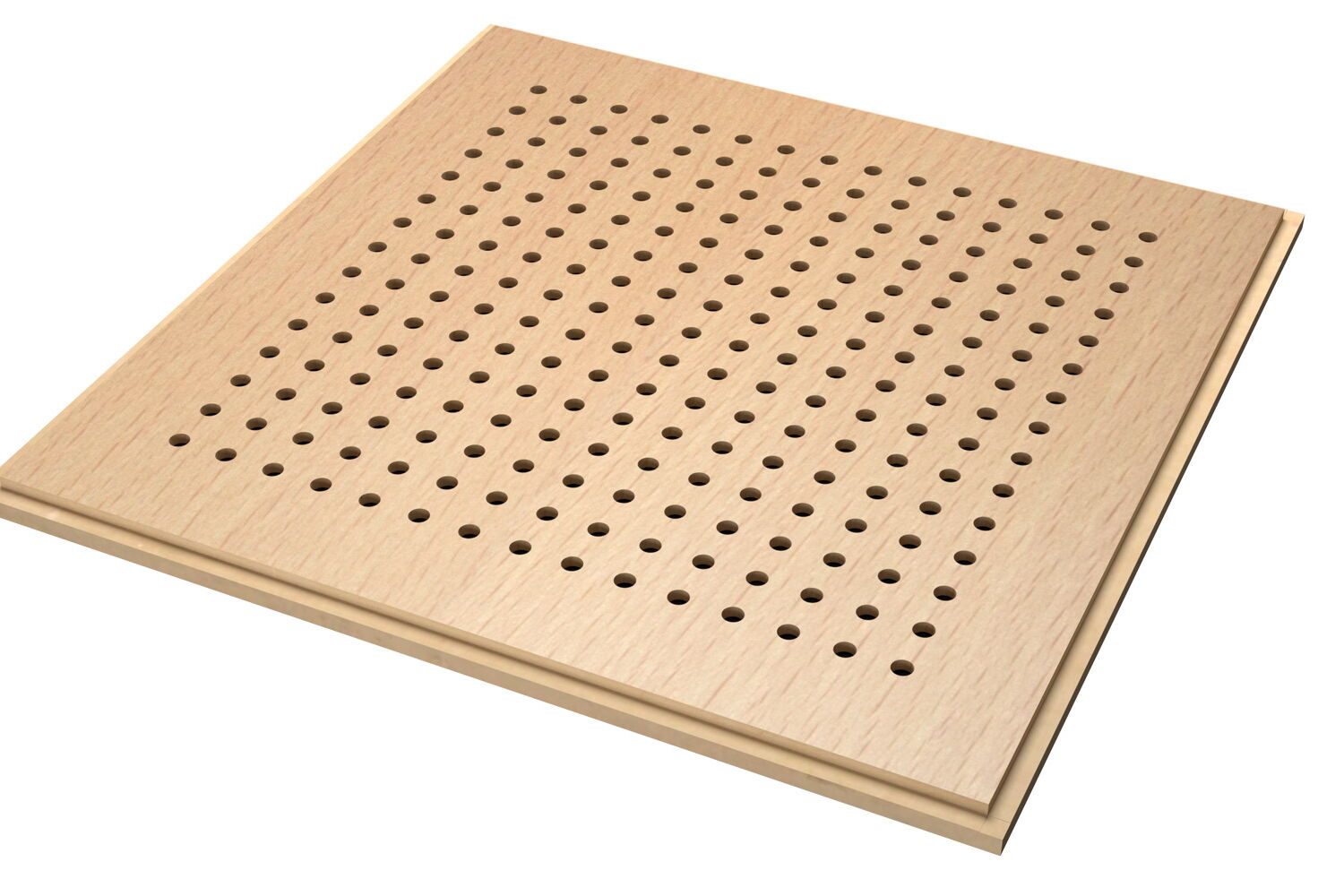 Beech - Basic