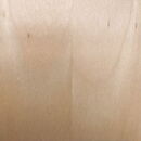Basswood