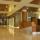 Wood Ceiling Tile