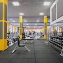 SQ S4000 High Abuse Panel - Gym