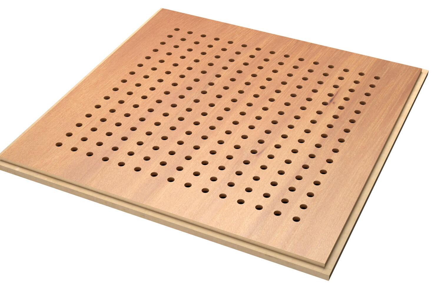 Chestnut - Basic