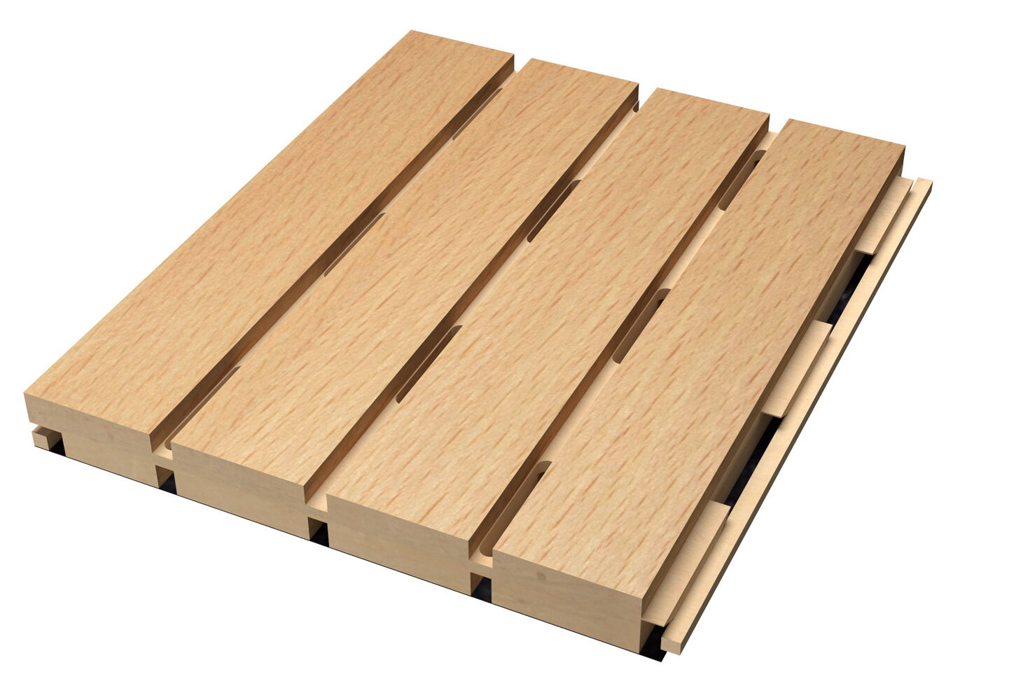 Beech - Topline