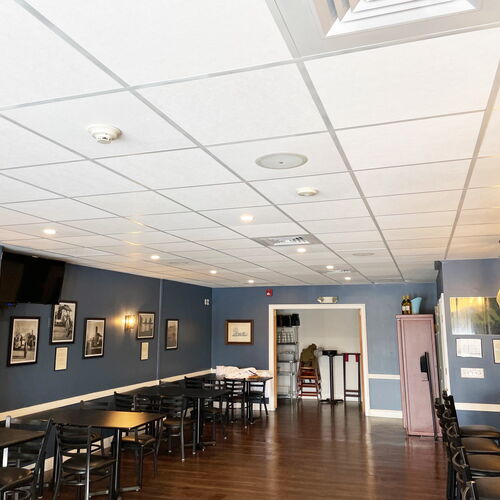 Paintable Ceiling Tiles