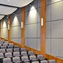 Panels in Auditorium