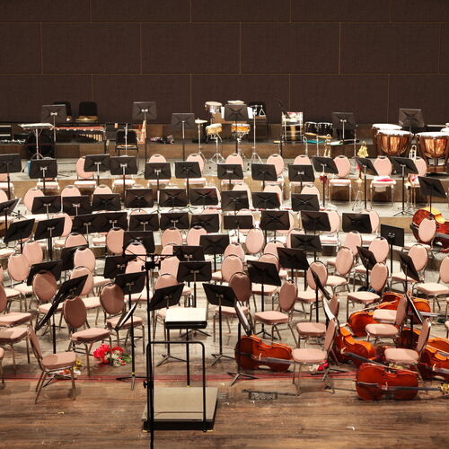 acoustical wall panel orchestra