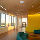 acoustic wood ceiling