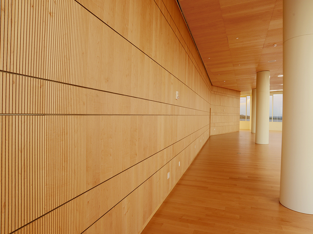 acoustical wood walls
