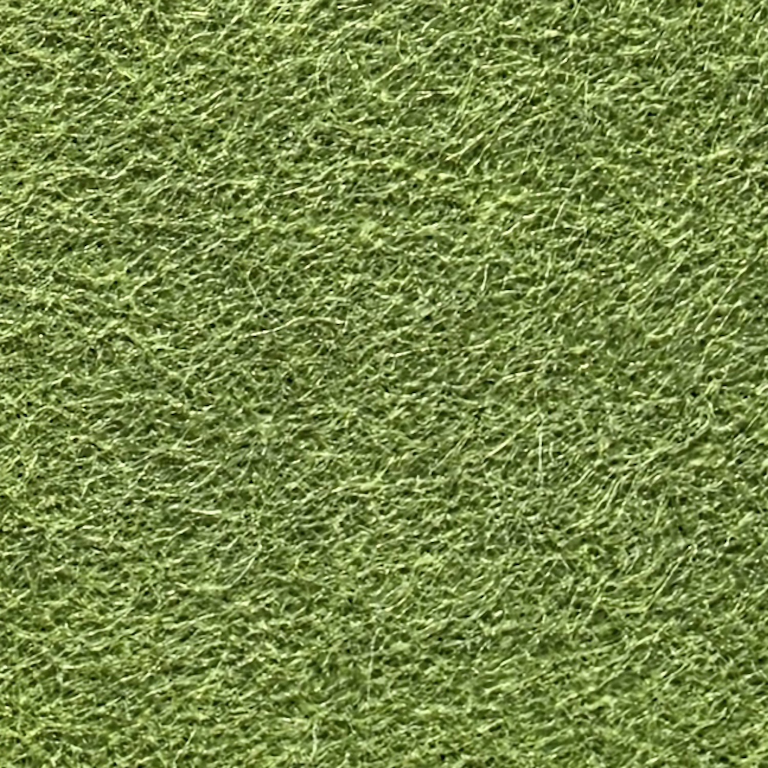 96 Olive